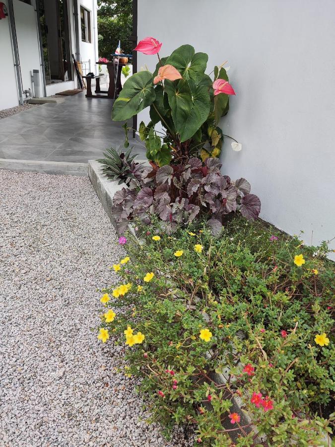 Riverside Mount Simpson - Seychelles Island Beau Vallon  Exterior foto